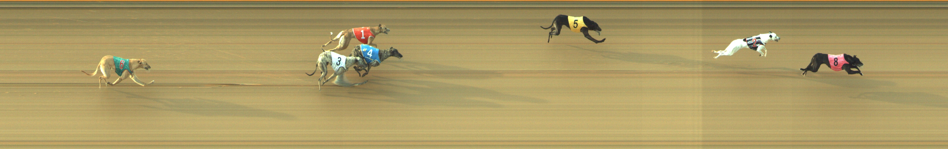 Photo finish for Geelong Race 7