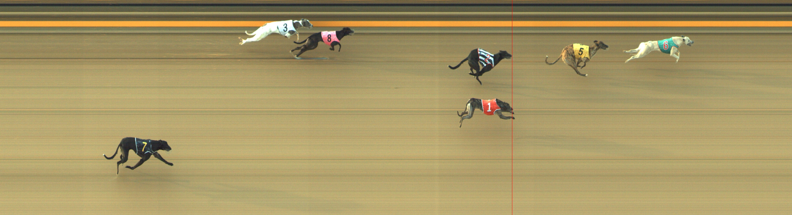 Photo finish for Geelong Race 8