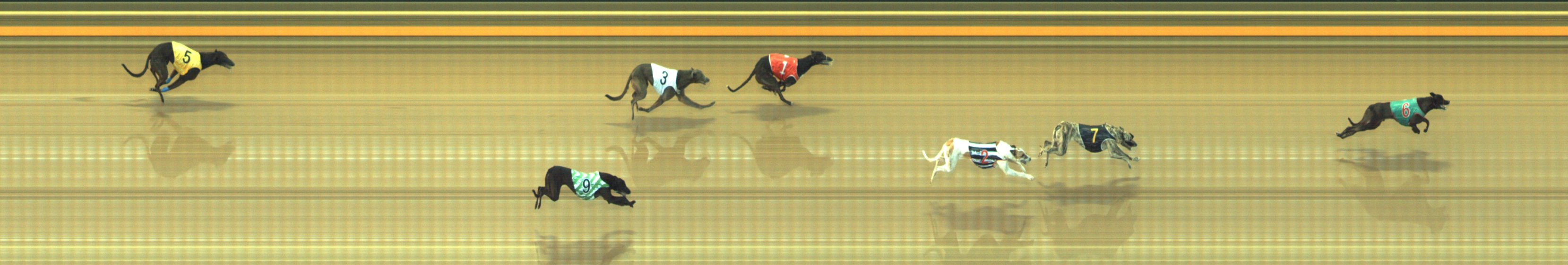 Photo finish for Geelong Race 9