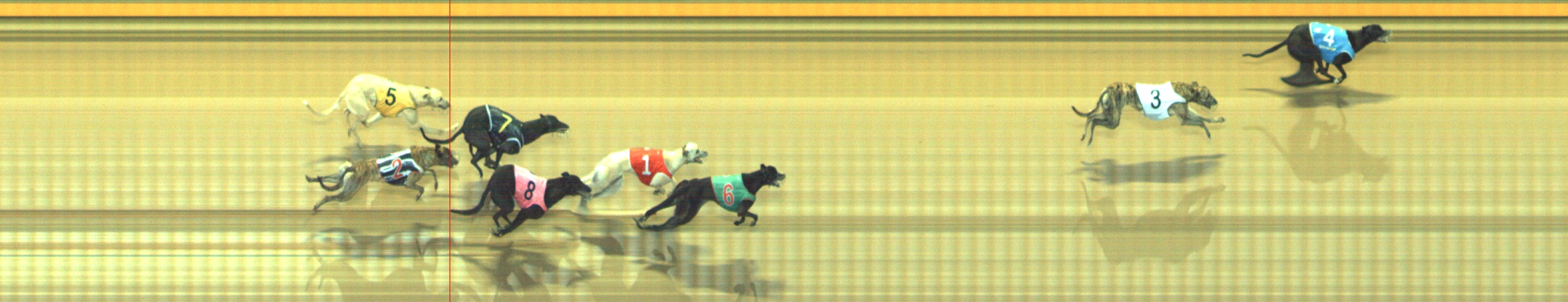 Photo finish for Geelong Race 10