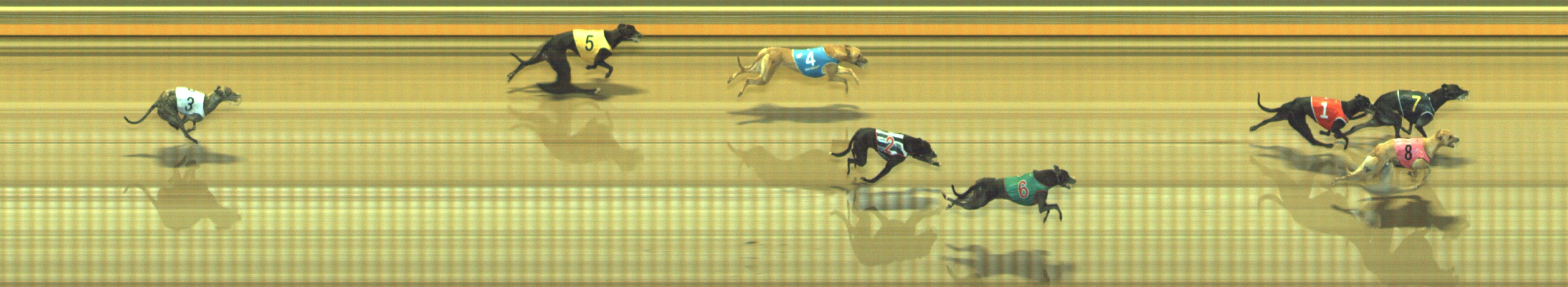 Photo finish for Geelong Race 11
