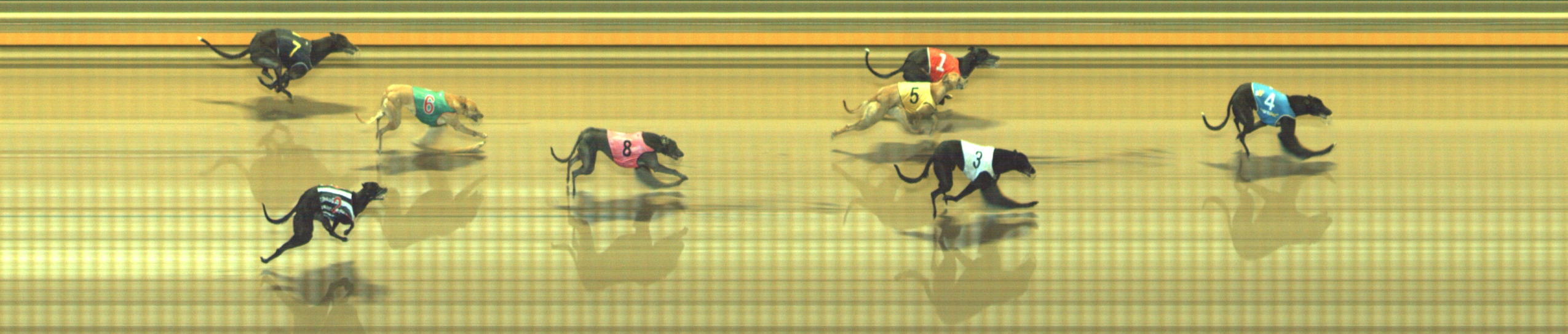 Photo finish for Geelong Race 12