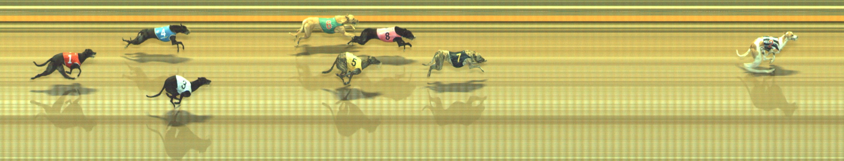 Photo finish for Geelong Race 13