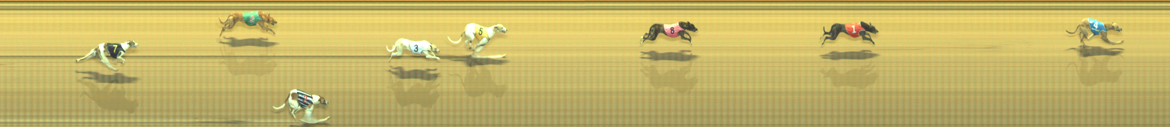 Photo finish for Geelong Race 1