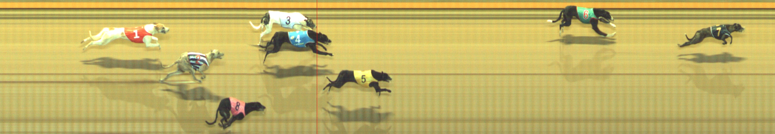 Photo finish for Geelong Race 2