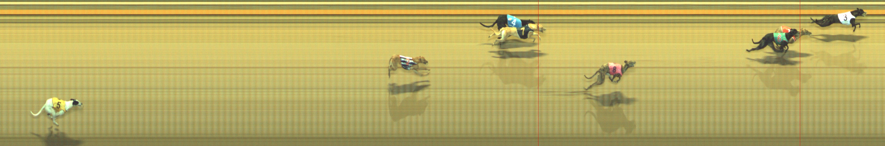 Photo finish for Geelong Race 3