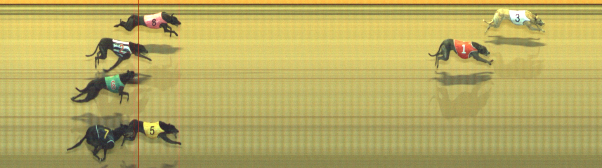Photo finish for Geelong Race 4
