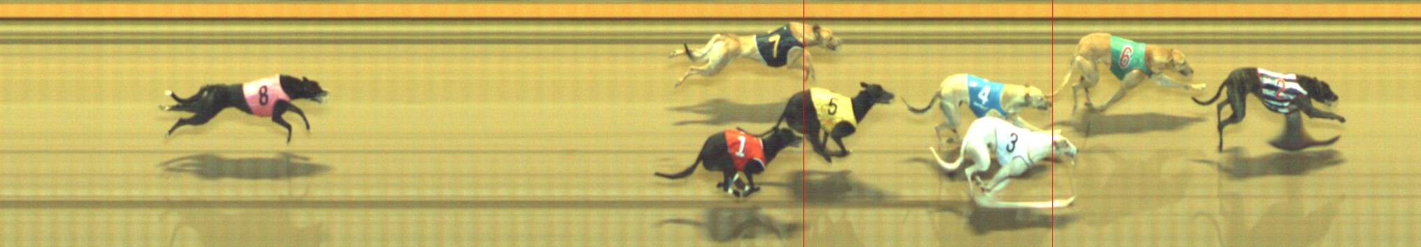 Photo finish for Geelong Race 5