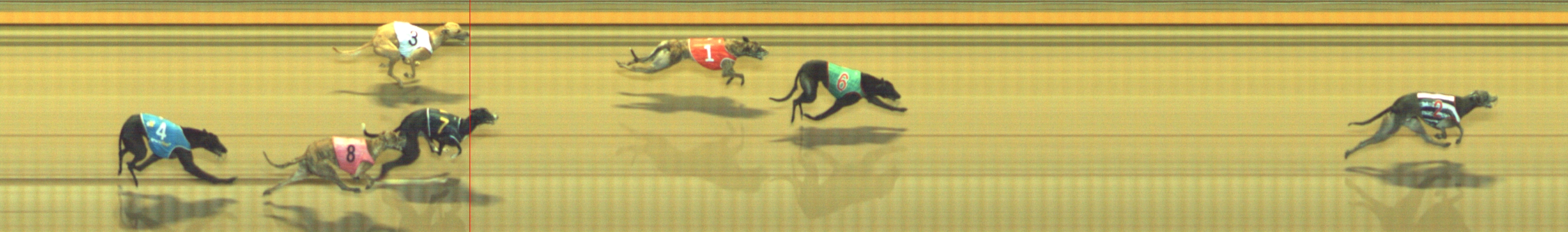 Photo finish for Geelong Race 6