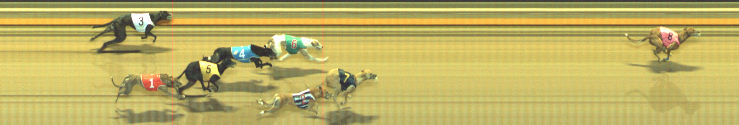 Photo finish for Geelong Race 8