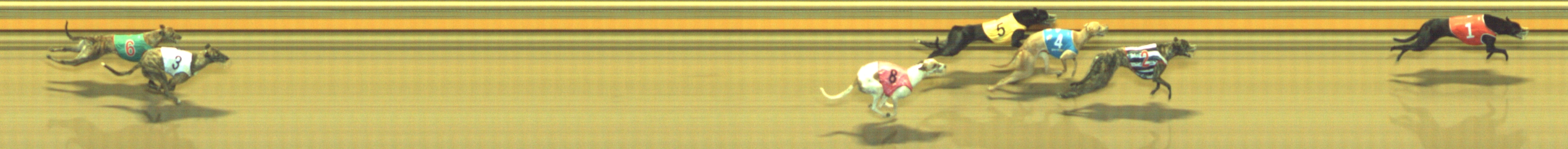 Photo finish for Geelong Race 9