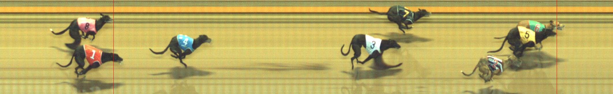 Photo finish for Geelong Race 10