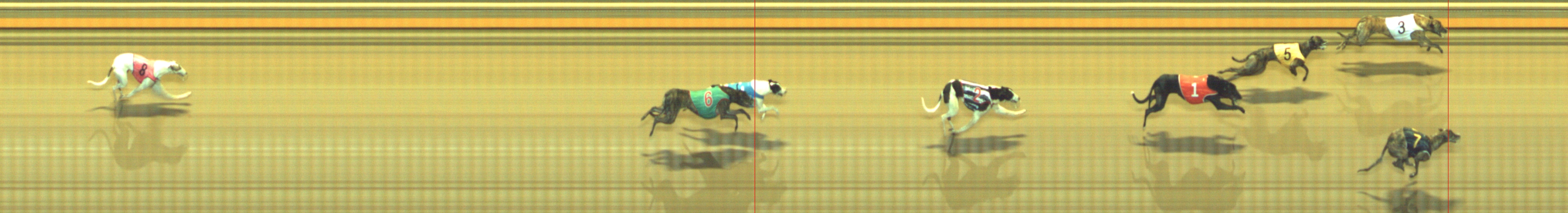 Photo finish for Geelong Race 12