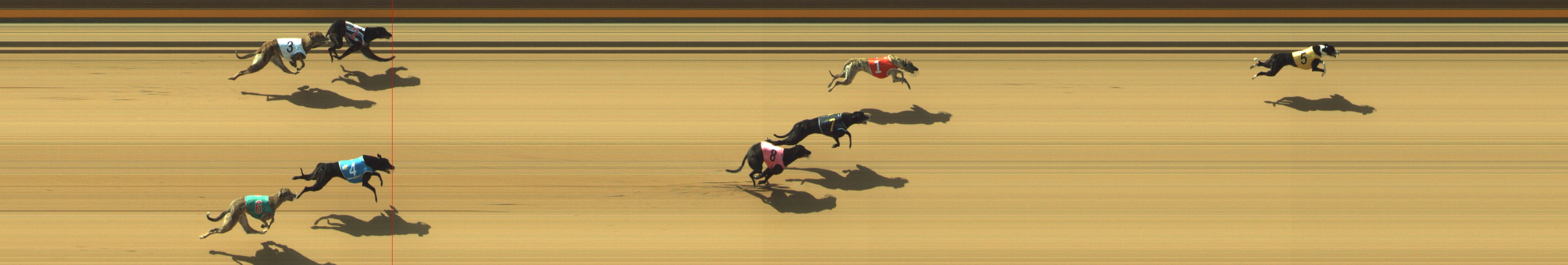 Photo finish for Geelong Race 1
