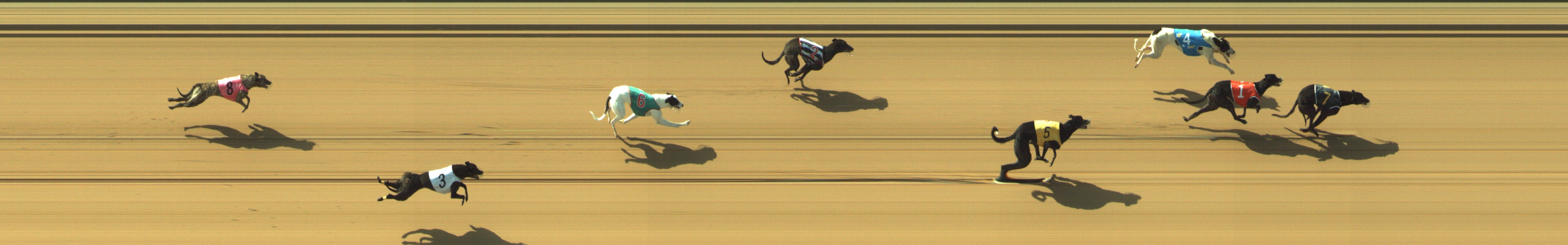 Photo finish for Geelong Race 2