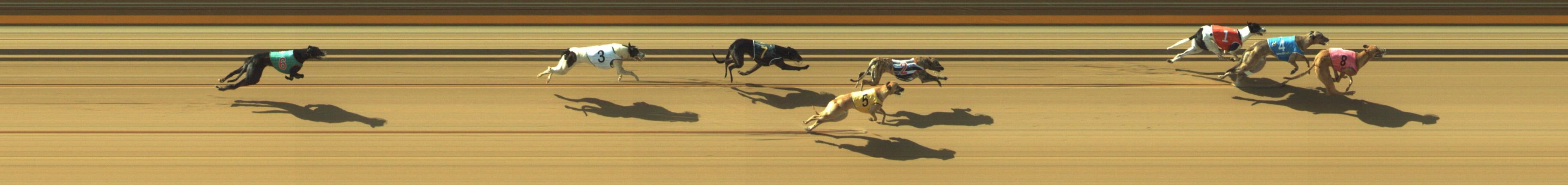 Photo finish for Geelong Race 3