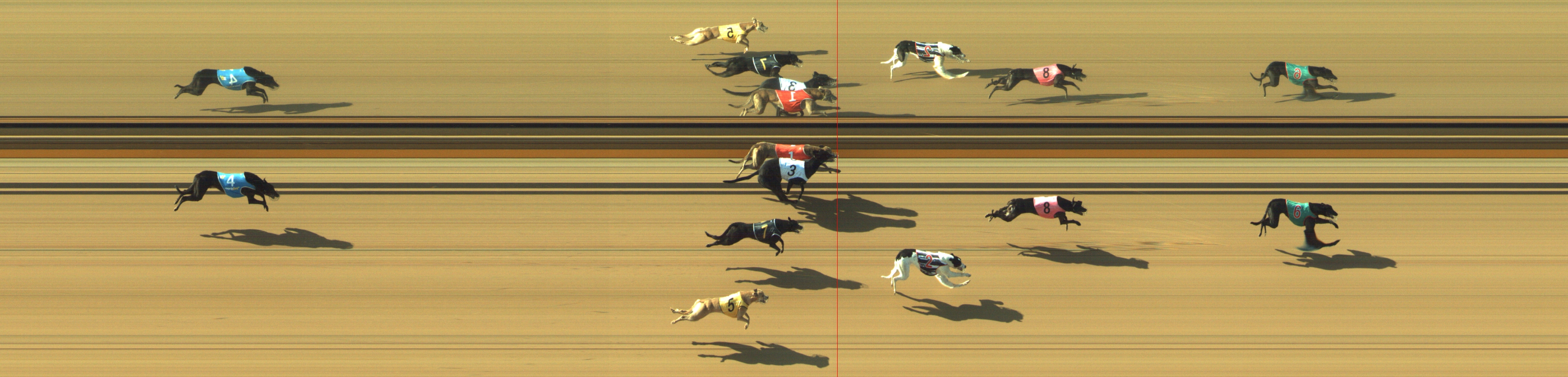 Photo finish for Geelong Race 4