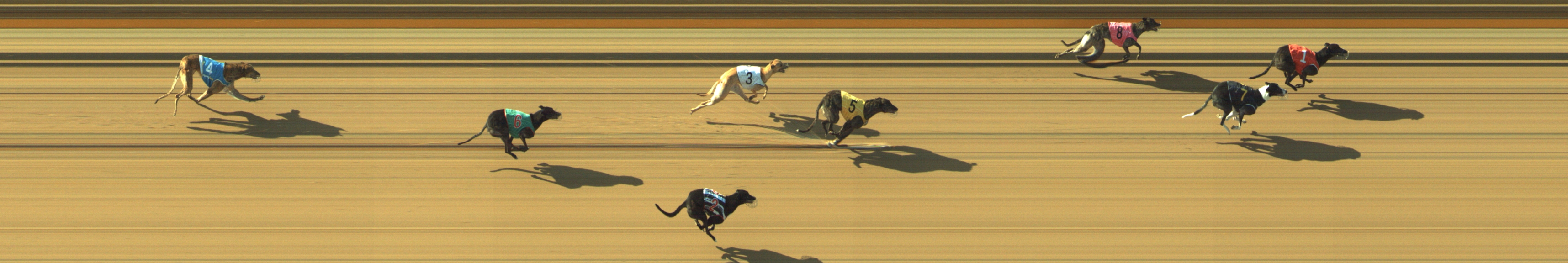 Photo finish for Geelong Race 5