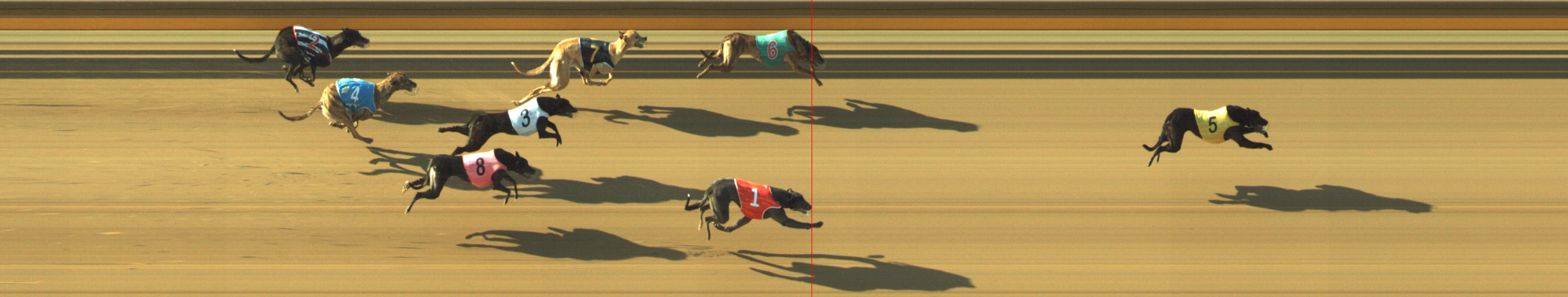 Photo finish for Geelong Race 6