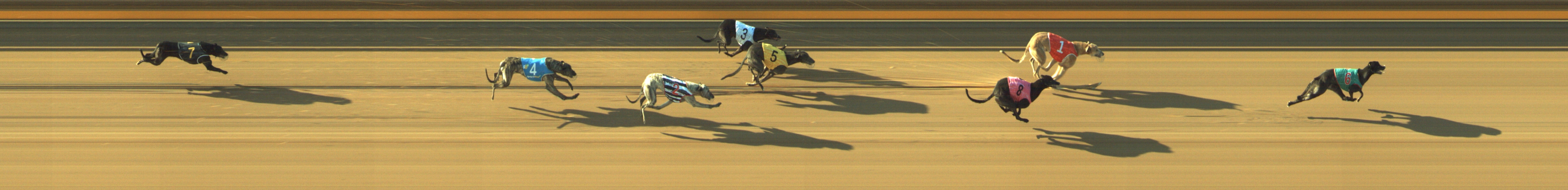 Photo finish for Geelong Race 7