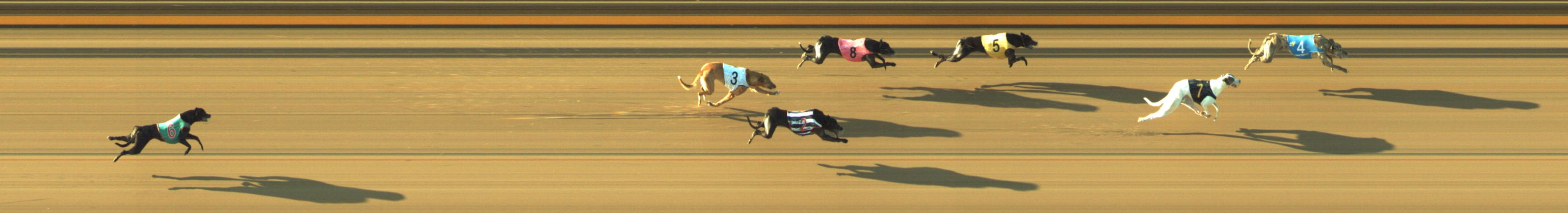 Photo finish for Geelong Race 8