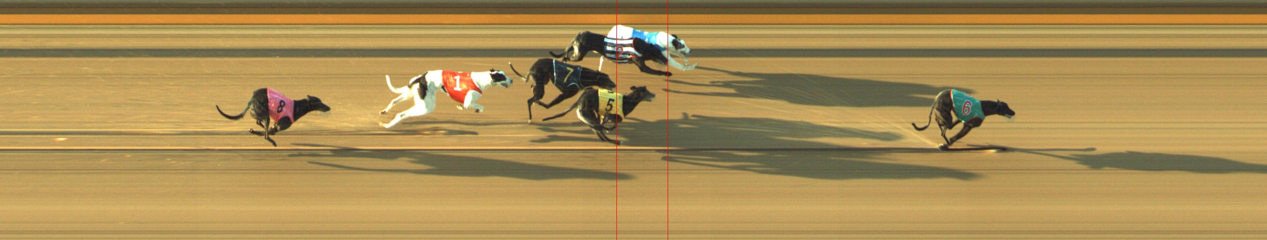 Photo finish for Geelong Race 9