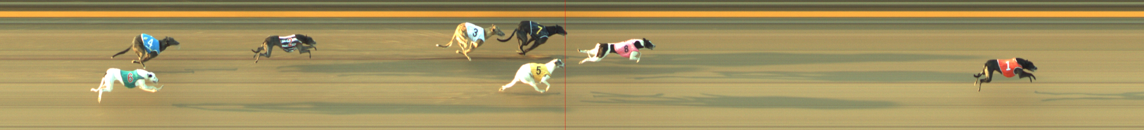 Photo finish for Geelong Race 10