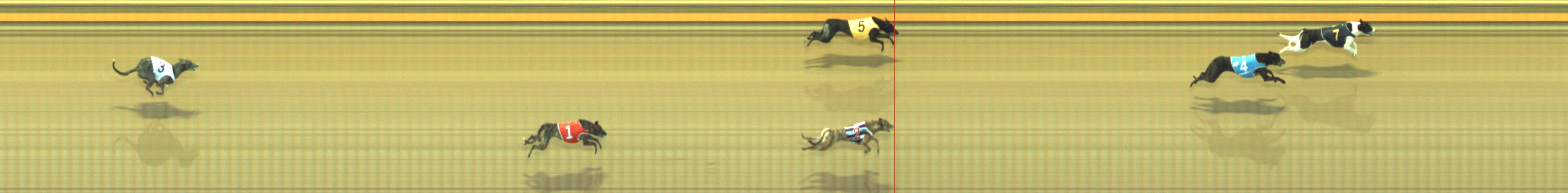 Photo finish for Geelong Race 11