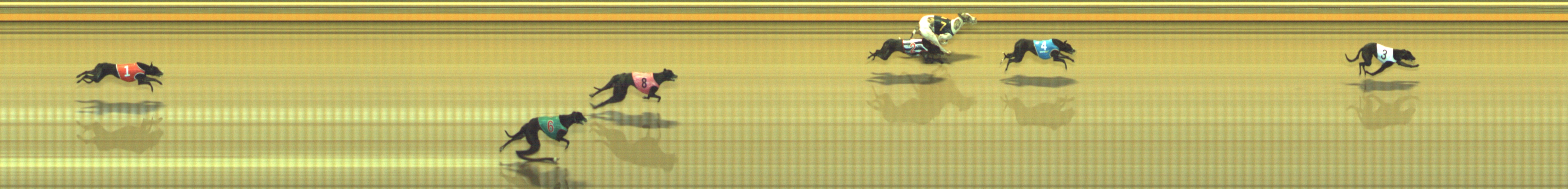Photo finish for Geelong Race 12