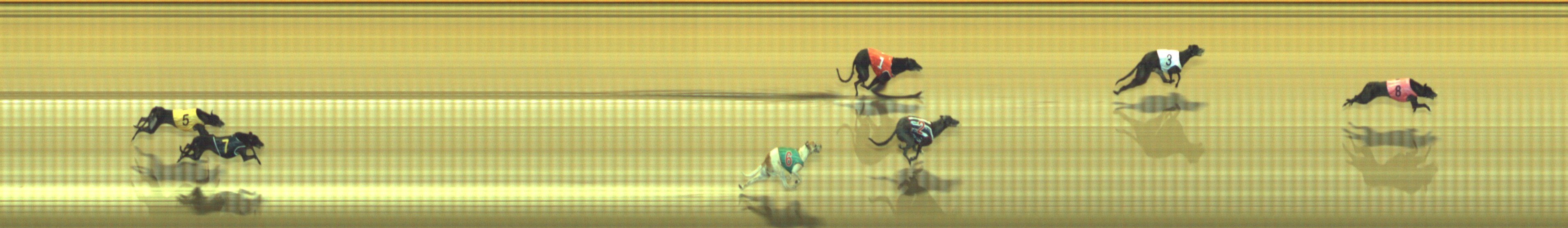 Photo finish for Geelong Race 13