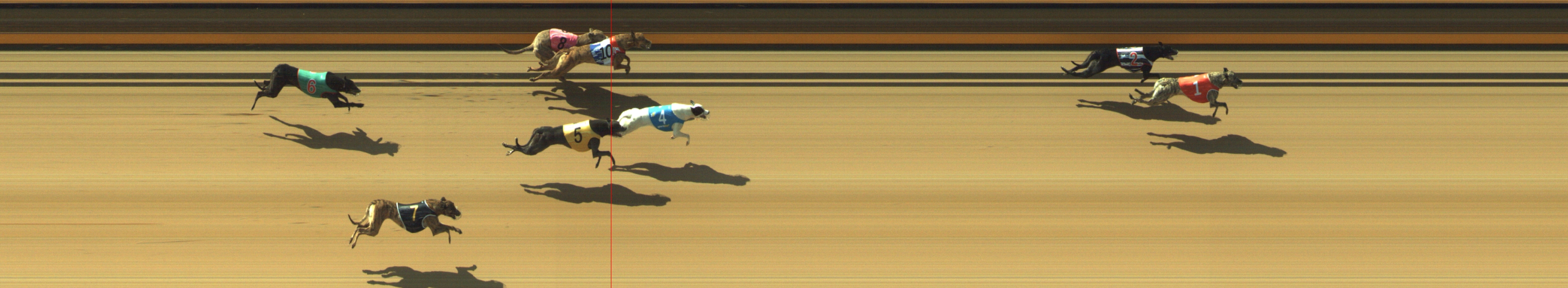 Photo finish for Geelong Race 1