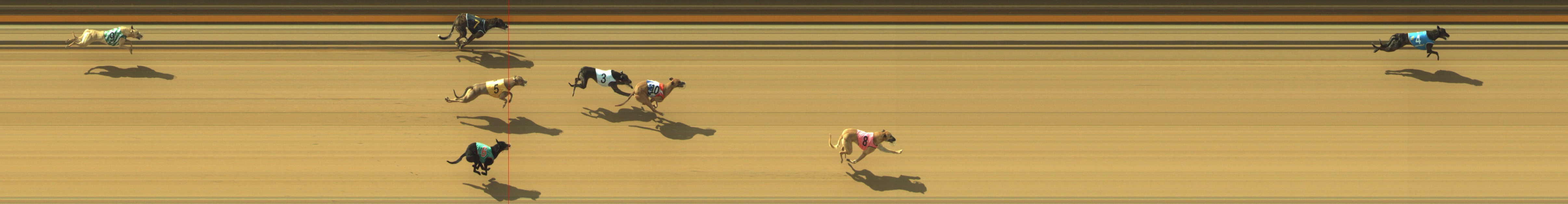 Photo finish for Geelong Race 2