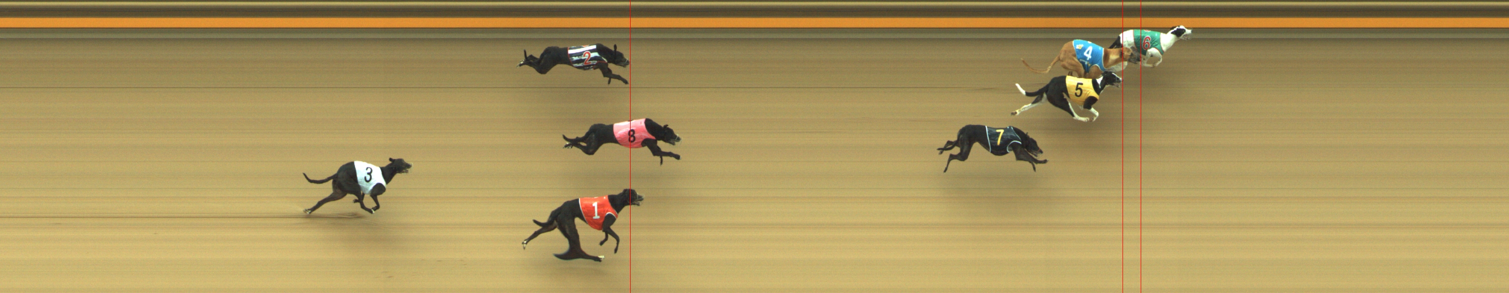 Photo finish for Geelong Race 3