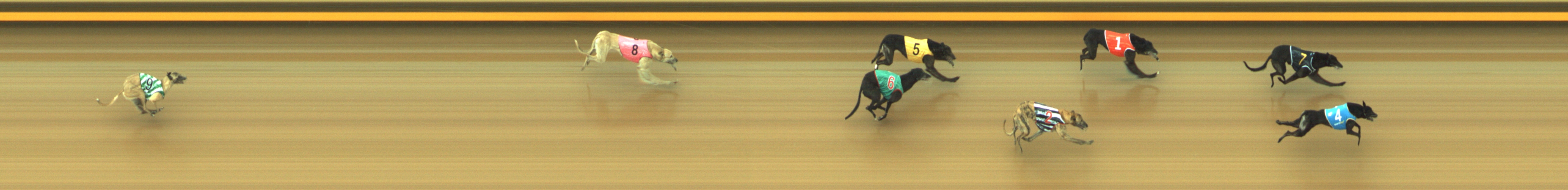 Photo finish for Geelong Race 4