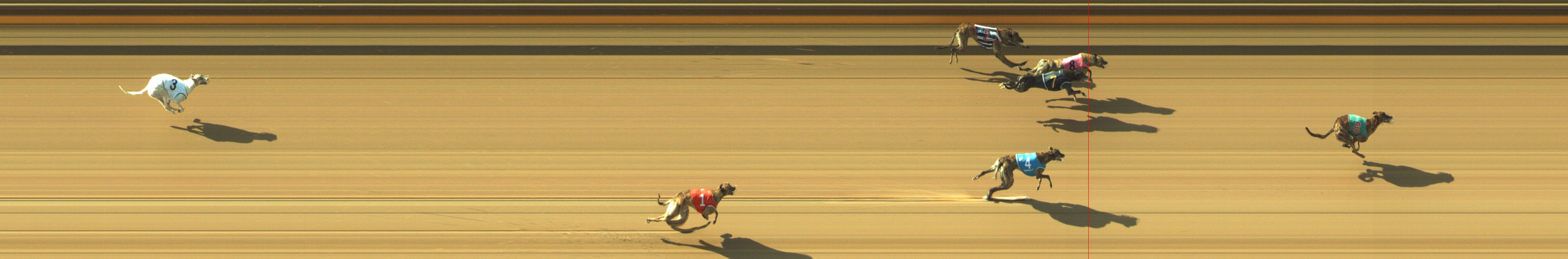 Photo finish for Geelong Race 5