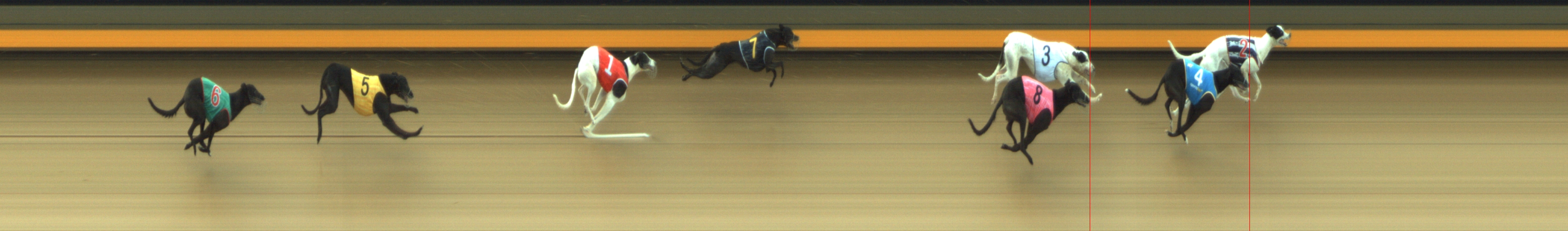 Photo finish for Geelong Race 6