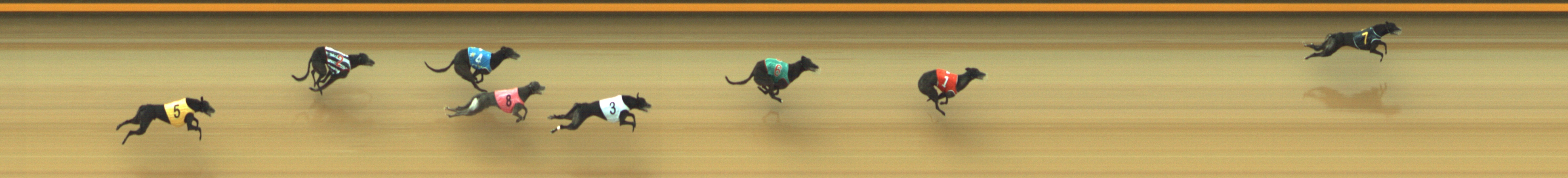 Photo finish for Geelong Race 7