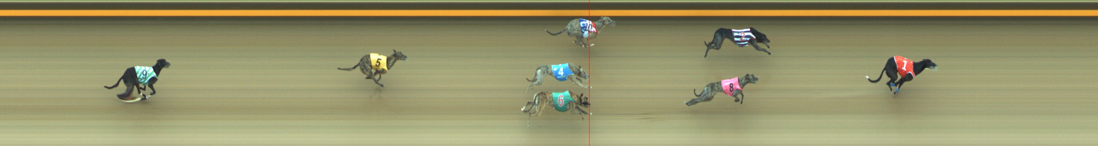 Photo finish for Geelong Race 8