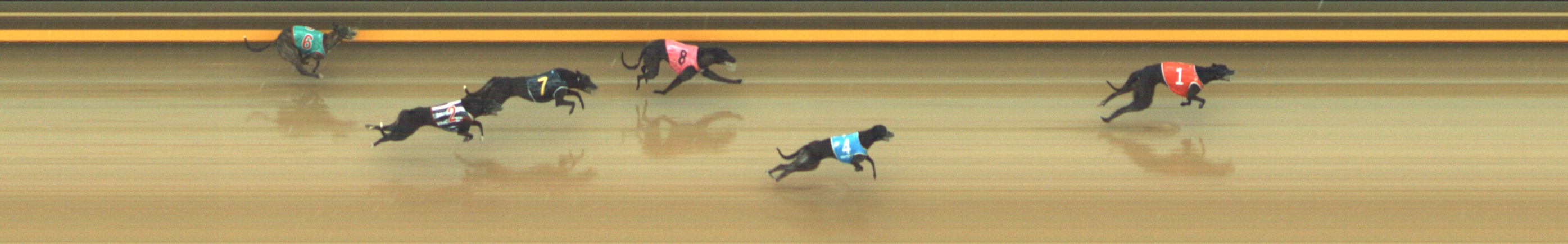 Photo finish for Geelong Race 9