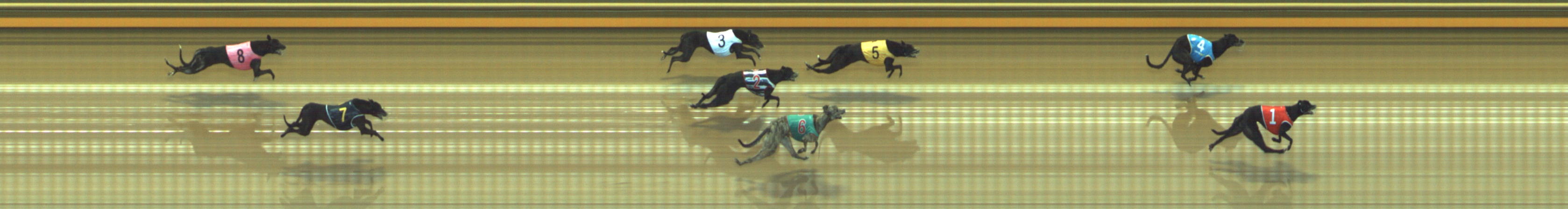 Photo finish for Geelong Race 10