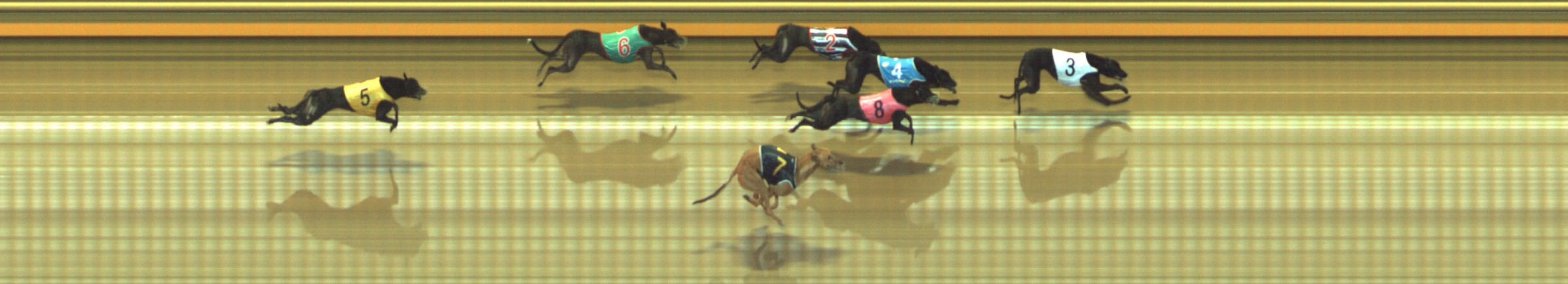 Photo finish for Geelong Race 11