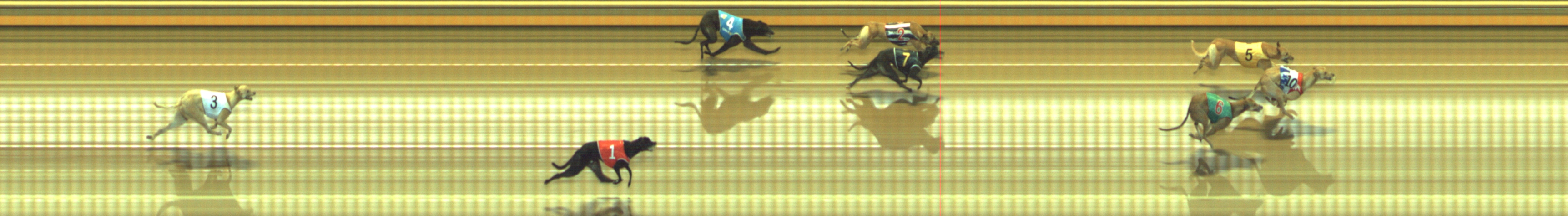 Photo finish for Geelong Race 12