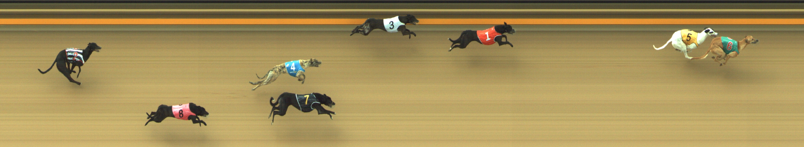 Photo finish for Geelong Race 1