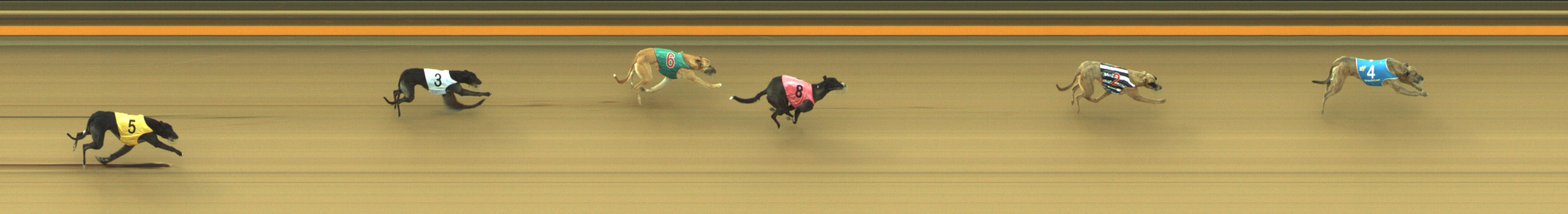 Photo finish for Geelong Race 2