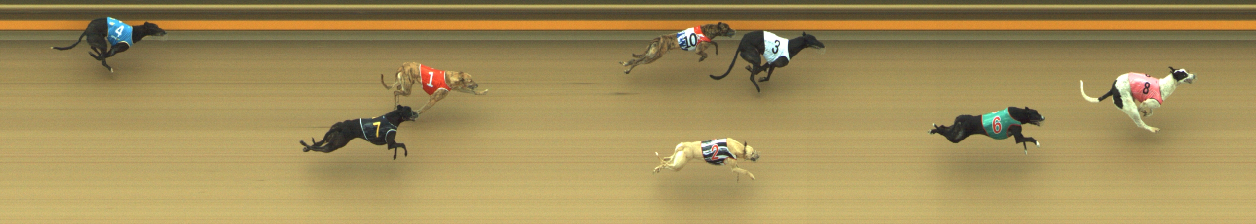 Photo finish for Geelong Race 3