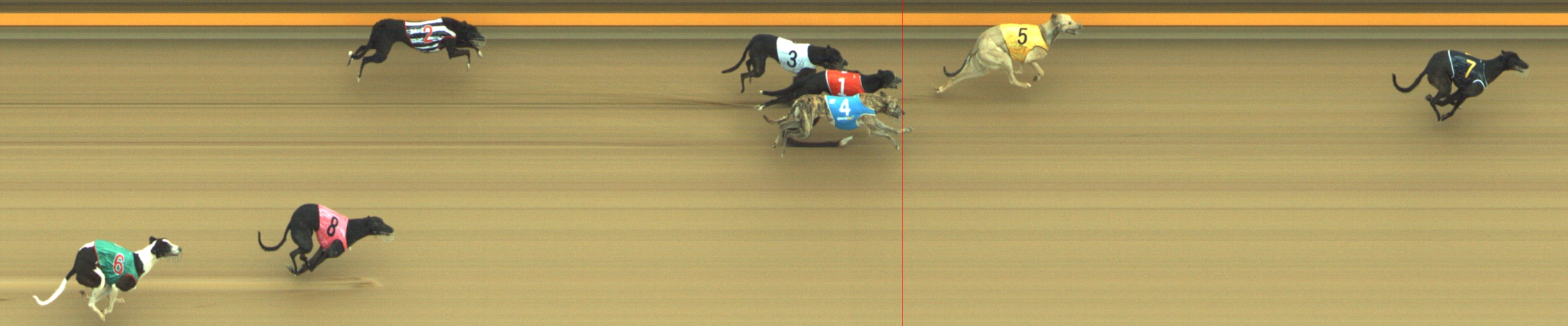 Photo finish for Geelong Race 4