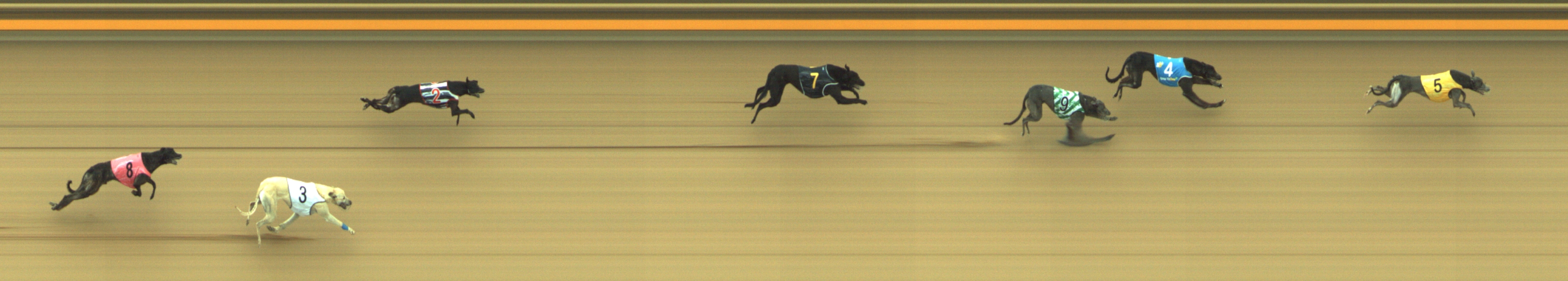 Photo finish for Geelong Race 5