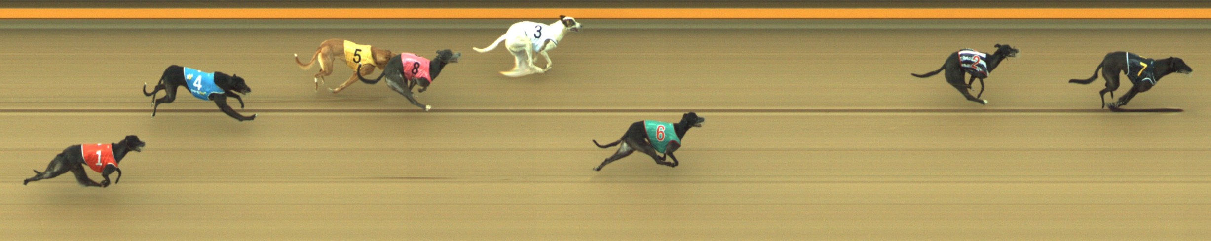 Photo finish for Geelong Race 6