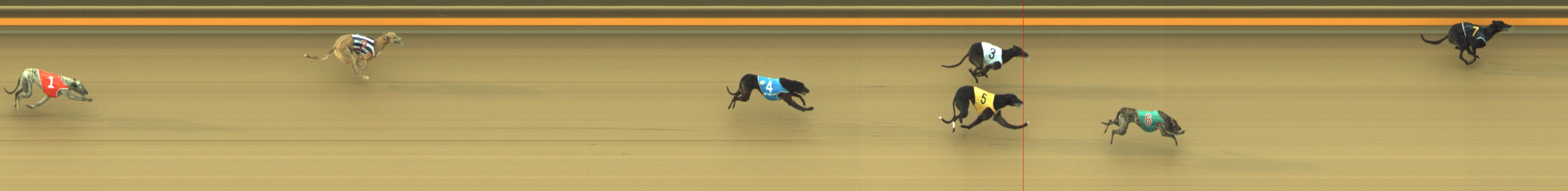 Photo finish for Geelong Race 7