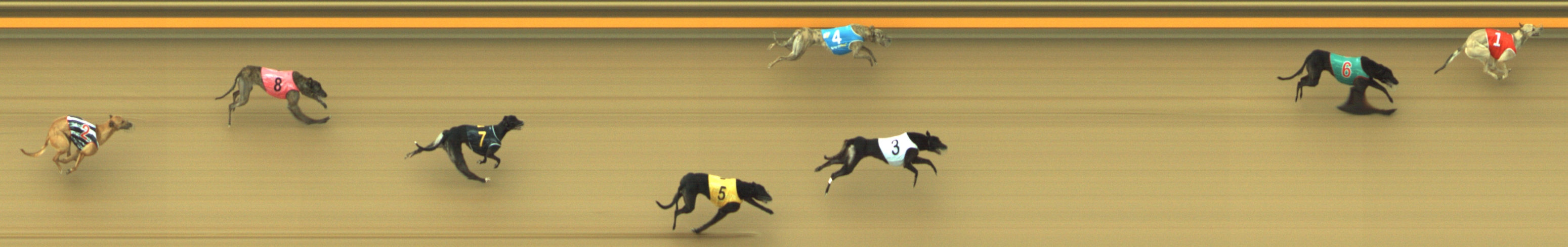 Photo finish for Geelong Race 8